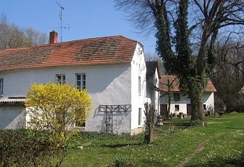 Kleneč