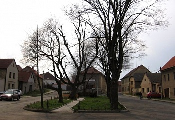 Kleneč