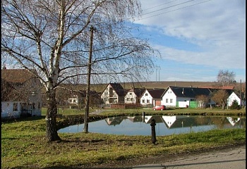 Rodná