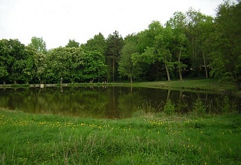 Žerotín