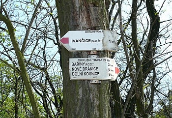 Ivančice