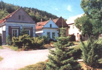 Bělušice