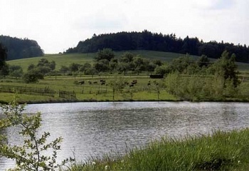 Bukovice