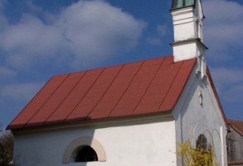 Zubří