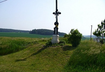 Ctidružice
