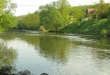 Dyje