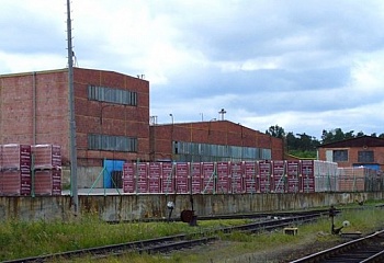Číčenice