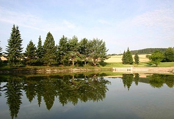 Dubno
