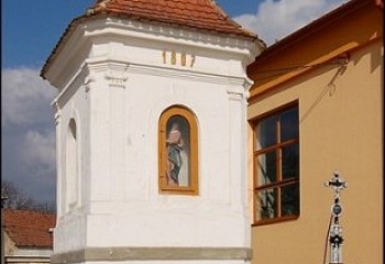 Senorady