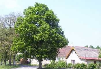 Čáslavsko