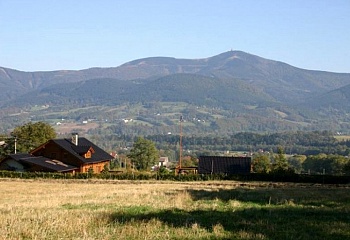 Pstruží