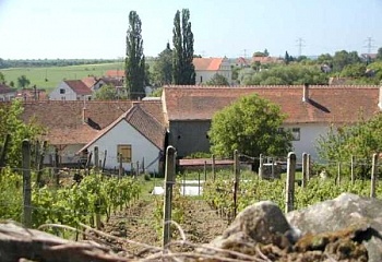 Horní Dunajovice
