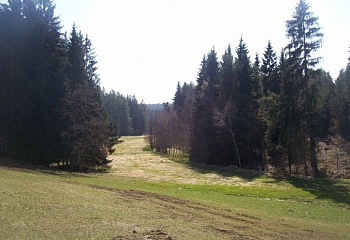 Vlčeves
