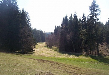Vlčeves