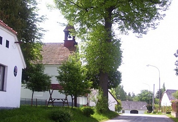 Eš