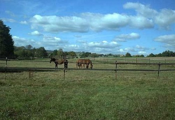 Zhoř u Mladé Vožice
