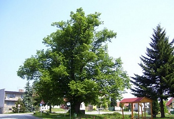 Lukavec