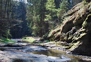 Týn nad Vltavou