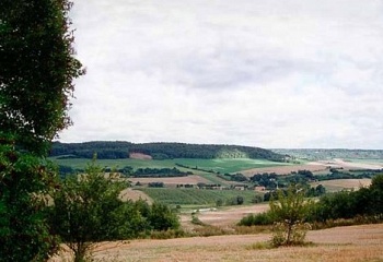 Bdín