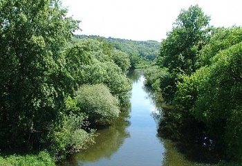 Moravské Bránice