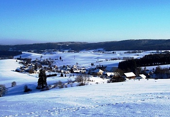 Bukovina u Čisté