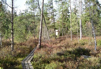 Jílovice