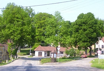 Těchobuz