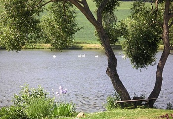 Krahulčí