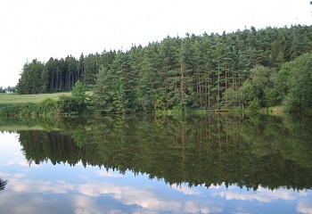 Krasonice