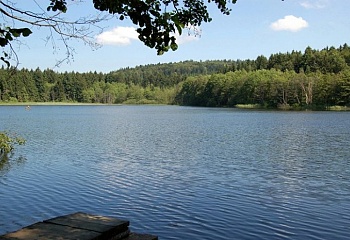 Mrákotín
