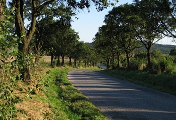 Ločenice