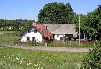 Zlátenka
