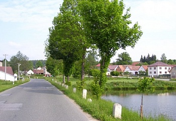 Arneštovice
