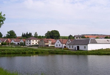 Arneštovice