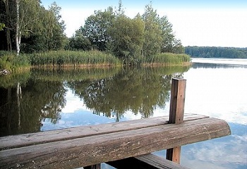 Trhové Sviny