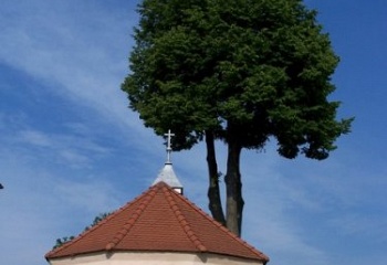 Bělá