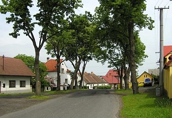 Pertoltice