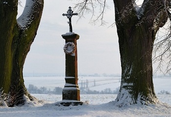 Podveky
