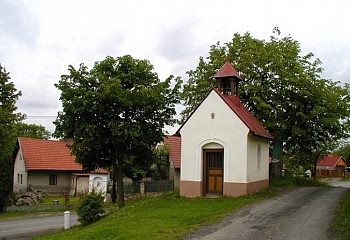 Zbizuby