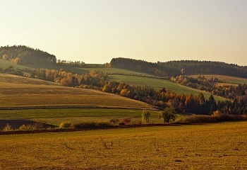 Kaly