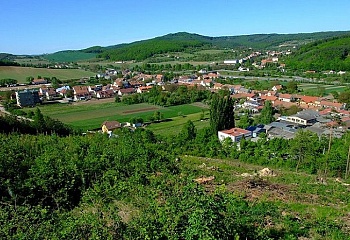 Česká