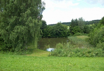 Černovice