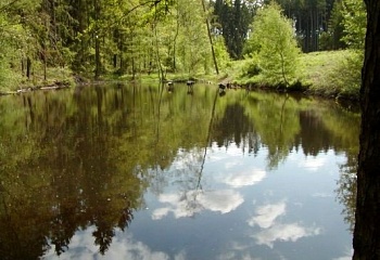 Dnešice