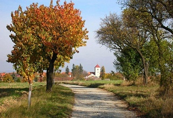 Lažánky