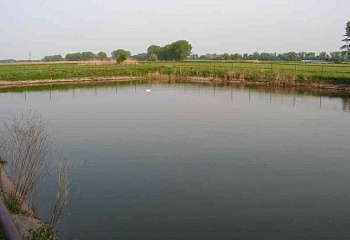 Kosičky