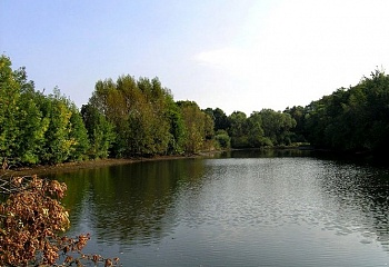 Kunčice