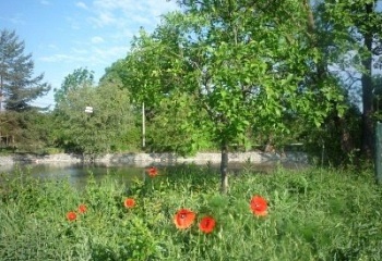 Libníkovice