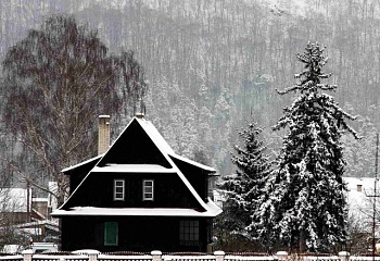 Chrustenice
