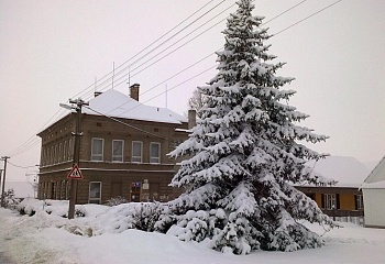 Lišice
