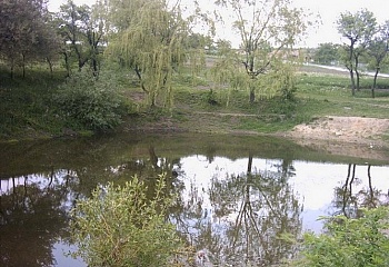 Bukovany